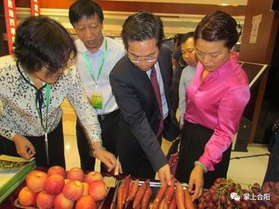 合阳红提闪耀京城 富通合作社联合社在京推介荣获国家级殊荣